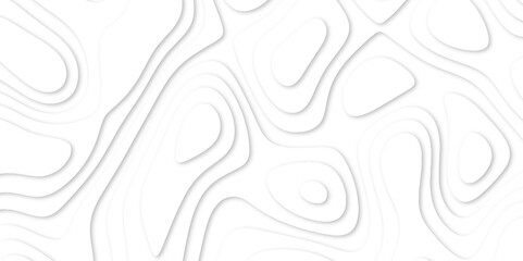 Fototapeta premium Abstract luxury white modern 3d papercut background. Minimal abstract vector wave carve diamond topography line circle creative topography map circle and wave line smooth multilayer pattern. papercut.