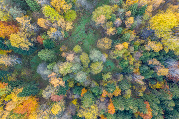 Jesień w Dolinie Popradu Muszyna górski widok