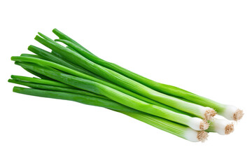 Fresh Green Onions on a White Background