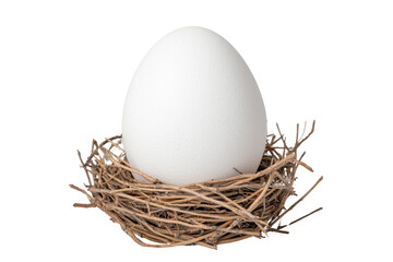 White Egg in Natural Nest with Twigs and Grass