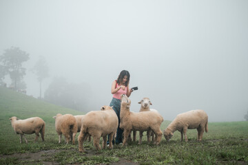 A woman stands among sheep in a foggy field, capturing the peaceful essence of rural life and nature.