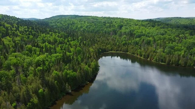 Aerial drone view of a lush mountain forest bordering a calm lake and peaceful bay with reflective waters mirroring clouds and sky in Lake Towago, Quebec, Canada.