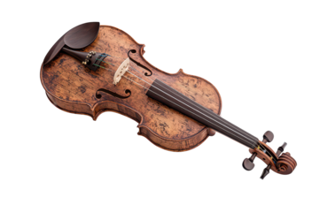 Explore the elegance of a hyperrealistic violin icon on white background