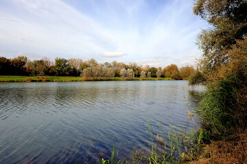 Der Rhein bei Vogtsburg im Herbst