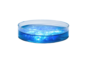 Explore the fascinating glow of cultures in a petri dish on white background