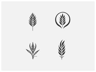 wheat plant logo set vector, vector and illustration,