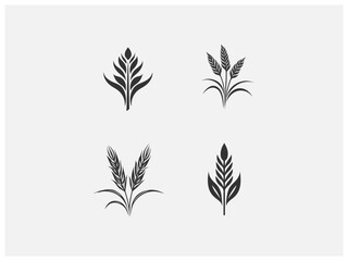 wheat plant logo set vector, vector and illustration,