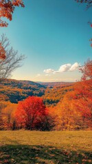 Fototapeta premium A vibrant display of autumn colors in a serene valley during a clear fall day