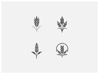 wheat plant logo set vector, vector and illustration,