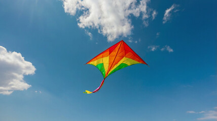 kite flying in the sky