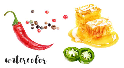 Hand-Painted Watercolor Honeycomb with Red Pepper, Peppercorns, and Jalapeno Botanical Illustration