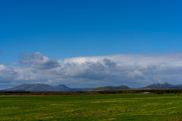 Obraz premium field and blue sky