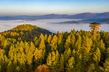 Fototapeta premium Jesień w Dolinie Popradu Muszyna górski widok