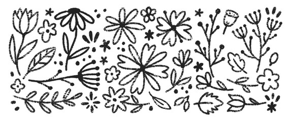 Set of flowers and herbs with charcoal, pastel or crayon texture. Floral hand drawn vector illustration.