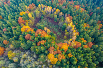 Jesień w Dolinie Popradu Muszyna górski widok