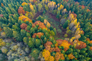 Jesień w Dolinie Popradu Muszyna górski widok