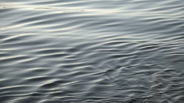 Gently flowing river water ripples from a slow moving boat