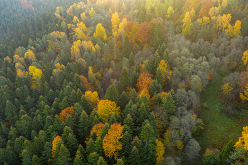 Jesień w Dolinie Popradu Muszyna górski widok