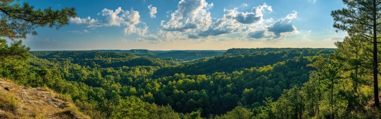 Obraz premium A breathtaking panorama of rolling green hills under a blue sky with scattered clouds at sunset in a peaceful landscape setting