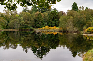 Obraz premium Autumn in Scotland with reflections in the lochs
