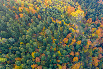Jesień w Dolinie Popradu Muszyna górski widok
