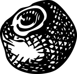 Allspice plant berries sketch. Kitchen spice icon Mexican herbs and spices hand-drawn vector illustration. NOT AI generated