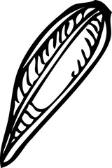 Cumin seeds sketch. Kitchen spice icon. Indian spices hand-drawn vector illustration. NOT AI generated