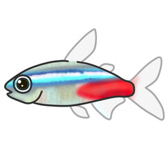 ネオンテトラという小さく可愛い熱帯魚のイラスト