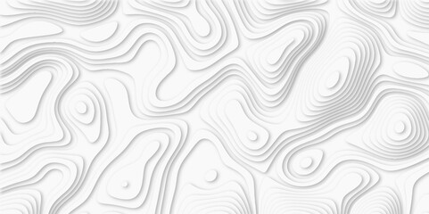 Abstract luxury white modern 3d papercut background. Minimal abstract vector wave carve diamond topography line circle creative topography map circle and wave line smooth multilayer pattern. papercut.