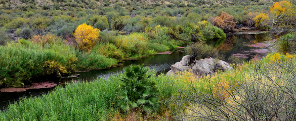 Salt River Recreation Area Arizona