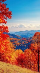 Fototapeta premium Vibrant autumn foliage along the Appalachian Mountains showcases nature's beauty in a scenic valley bathed in warm sunlight