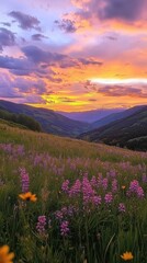 Stunning sunset over Vail Valley with vibrant wildflowers in full bloom during summer