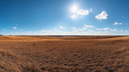 Breathtaking panorama capturing the expansive beauty of Konza Prairie under a clear blue sky