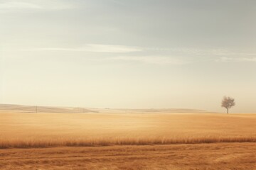 Fototapeta premium Minimal field and countryside landscape outdoors horizon.