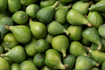 Fresh picked green unripe figs close up full frame as background