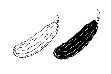Line sketch, stamp, cucumber vegetables silhouette. Vector graphics.