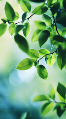 Obraz premium In springtime, vibrant green leaves on a tree branch are illuminated by the sunlight