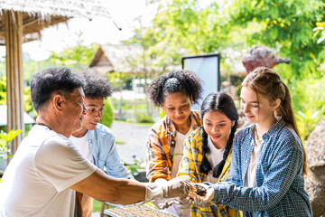 Teenagers are learning how to grow organic vegetables. Happy friends working at garden at bright sunny day.