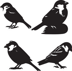 House sparrow sitting poses silhouette set 