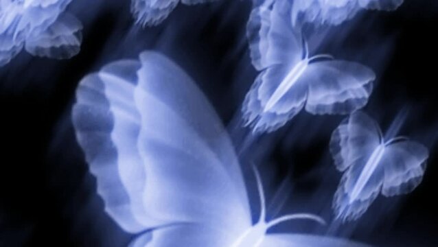 The butterfly effect in black background.