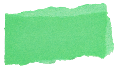 Isolated cut out torn piece of blank green paper note cardboard with texture and copy space for text, transparent png background design element

