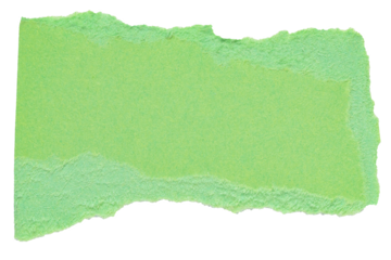 Isolated cut out torn piece of blank green paper note cardboard with texture and copy space for text, transparent png background design element
