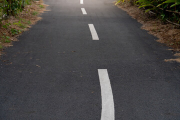 Asphalt road with white lane lines. A small path with grass on both sides of the road. The atmosphere of a dim evening photo.
