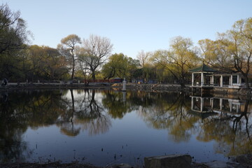 reflections in the water