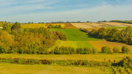 Agricultural fields with young green shoots of grain crops and plowed field without sowing. With trees in the background on the hills. Fallow concept. Alternation.