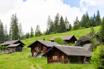 Obraz premium wooden house in the mountains near reichenbachfall in switzerland