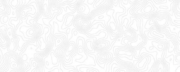 White topography topology vector design abstract wallpaper for desktop digital background texture for print works