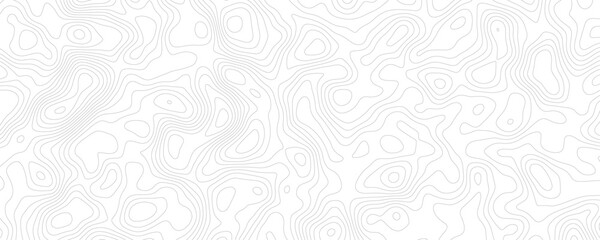 White topography topology vector design abstract wallpaper for desktop digital background texture for print works