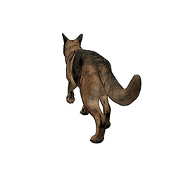 German Shepard dog vector animal ilustration isolated template 