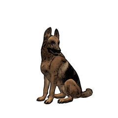 German Shepard dog vector animal ilustration isolated template 